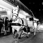 horse drawn carriage with bride and groom